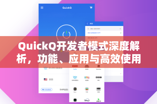 QuickQ开发者模式深度解析，功能、应用与高效使用指南